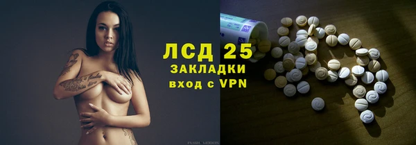 ГАЛЛЮЦИНОГЕННЫЕ ГРИБЫ Алзамай