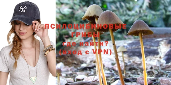 ГАЛЛЮЦИНОГЕННЫЕ ГРИБЫ Алзамай