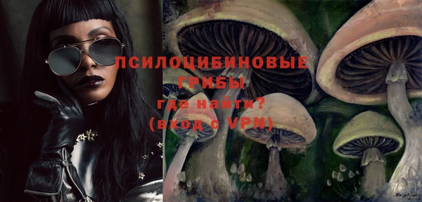тгк Алексин