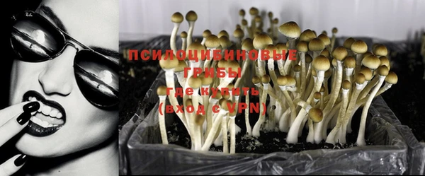 ГАЛЛЮЦИНОГЕННЫЕ ГРИБЫ Алзамай